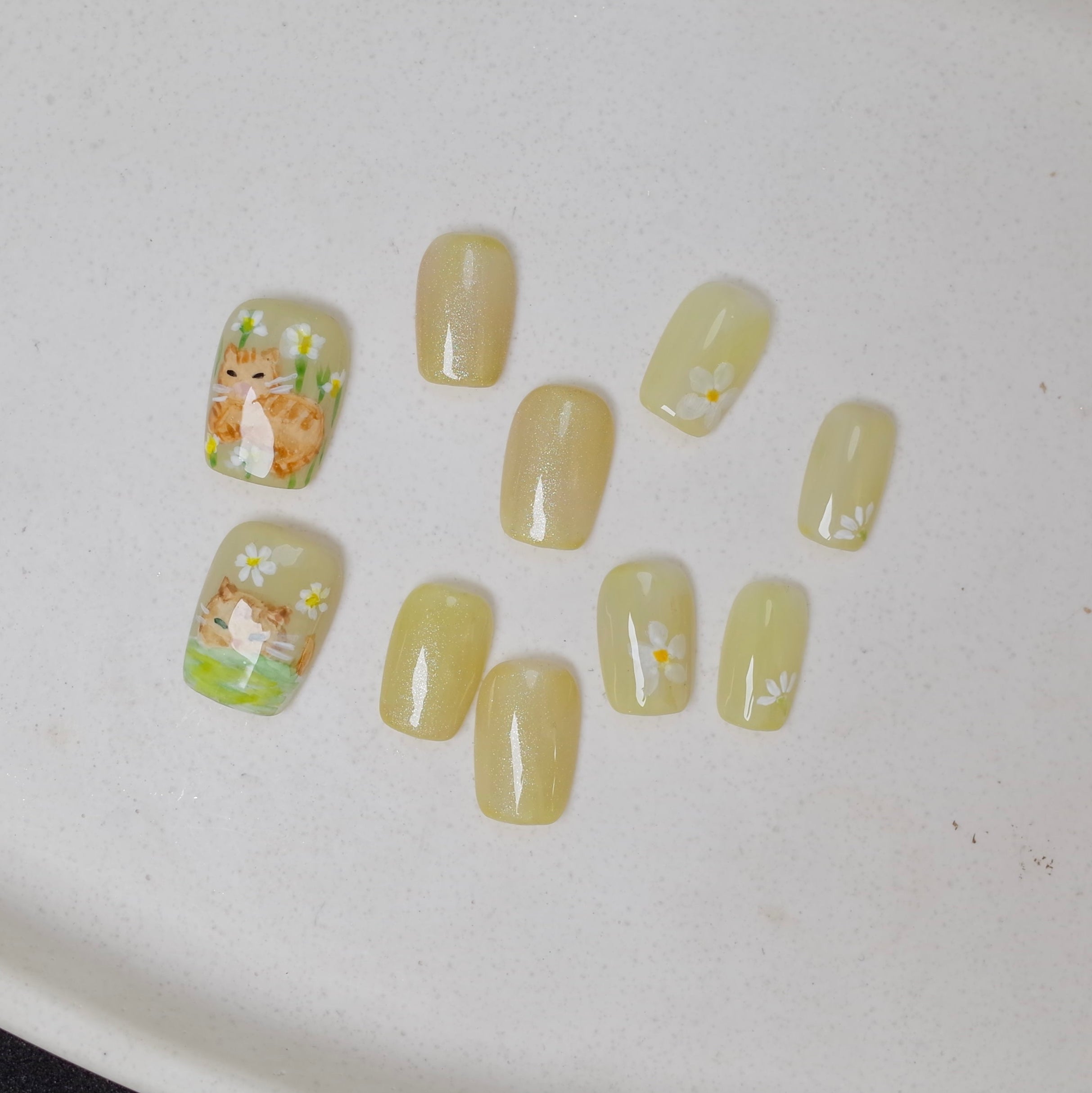 Vlei Nails Square  Cat press on nails