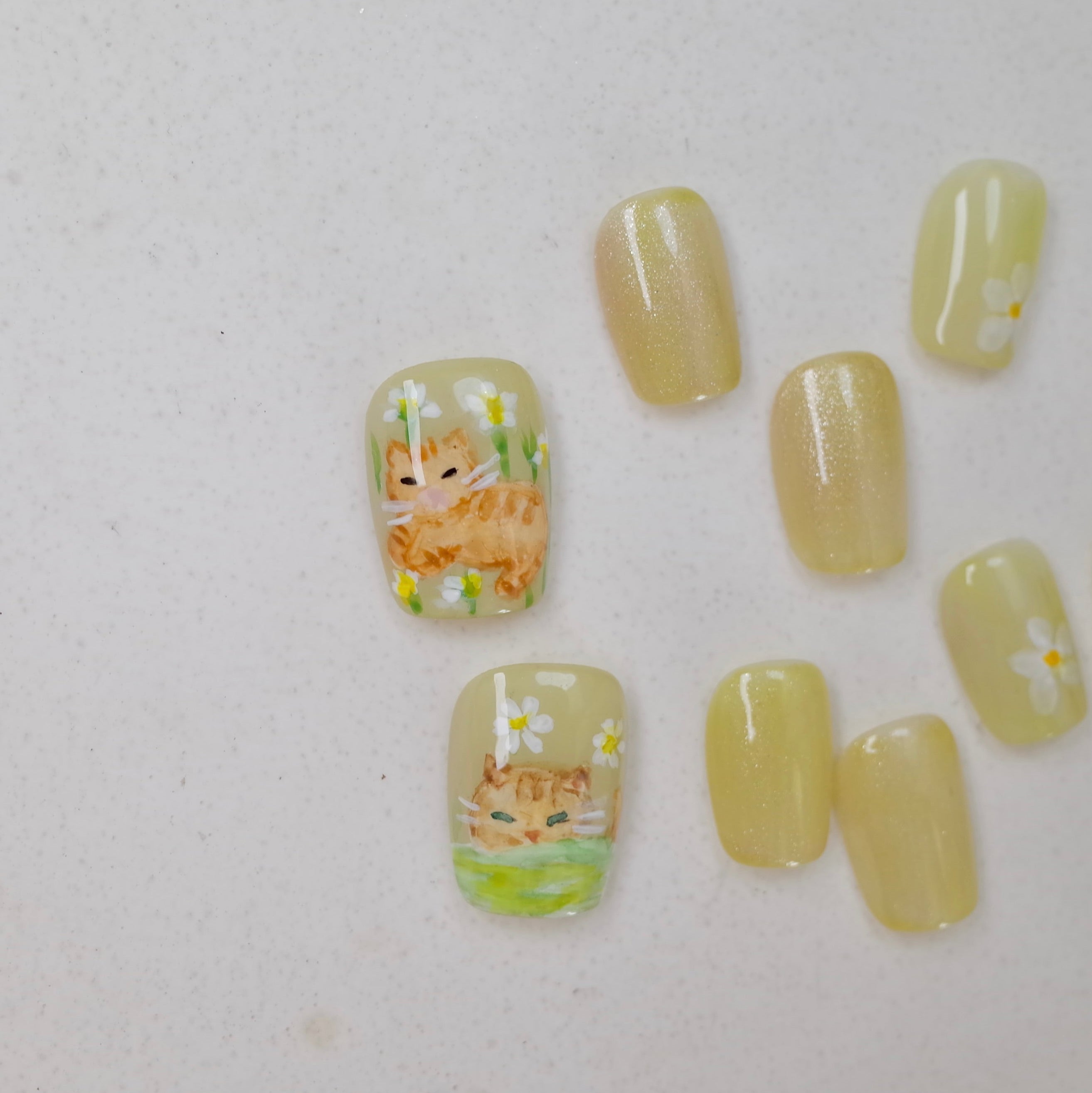 Vlei Nails Square  Cat press on nails